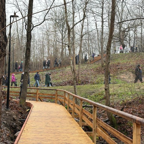 Koka laipa ar margām vijas cauri meža parkam, kur cilvēki pastaigājas pa takām un koka kāpnēm, kas ved augšup pa pakalnu.