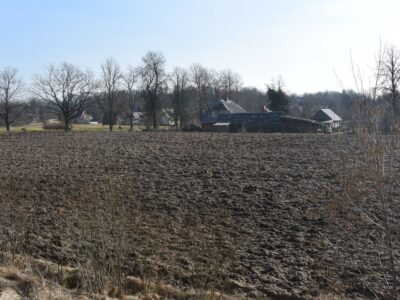 Uzarts lauks agrā pavasarī ar kailiem kokiem un mājām fonā zem skaidrām debesīm. Izsole "Biķeri"