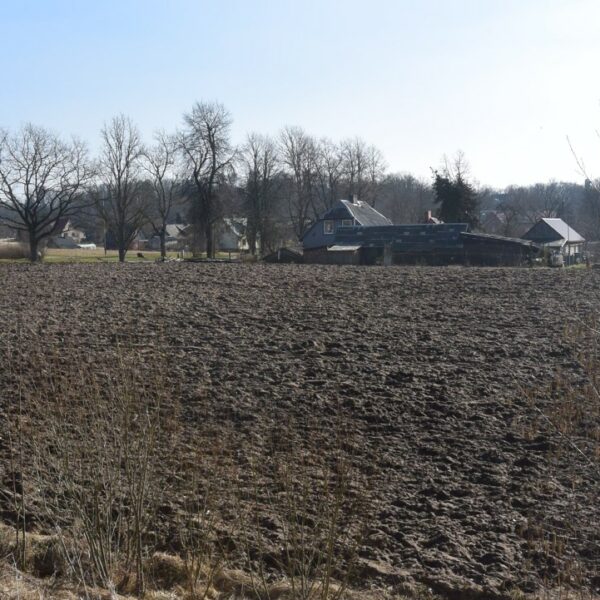 Uzarts lauks agrā pavasarī ar kailiem kokiem un mājām fonā zem skaidrām debesīm. Izsole "Biķeri"